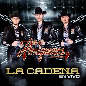 Download track Tu Me Vas (En Vivo) Los Amigueros De La Sierra