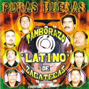 Download track La Ley Del Monte Tamborazo Latino De Zacatecas