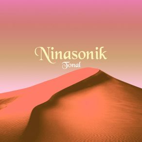 Download track H1N1 Ninasonik