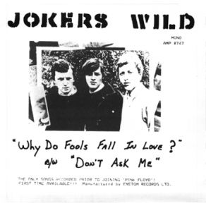 Download track Why Do Fools Fall In Love Jokers Wild