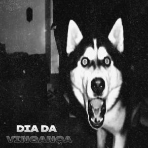 Download track DIA DA VINGANÇA (Sped Up) K3YMXNE