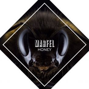 Download track Mistica Radio Marfel