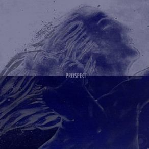 Download track Prospect Miguelette