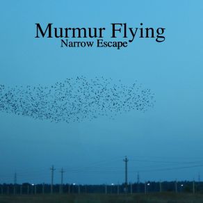 Download track Wings Narrow Escape