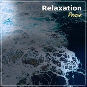 Download track Embracing Meditation Yoga AmbienceDeep Sleep Meditation, Focus Ambience