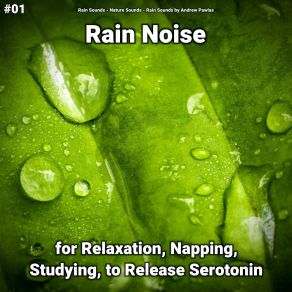 Download track Restorative Rain Sounds Rain Sounds By Andrew Pawlas