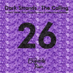 Download track The Calling (Amevicious Remix) Dark Strands