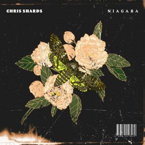 Download track Niagara Chris Shards