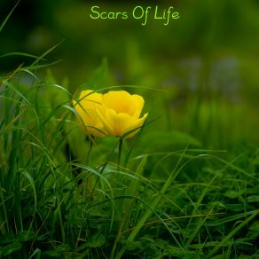 Download track Scars Of Life Solene Mossard