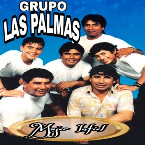 Download track Adios Amigo Grupo Las Palmas