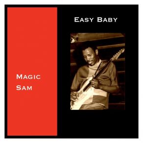 Download track Roll Your Moneymaker Magic Sam