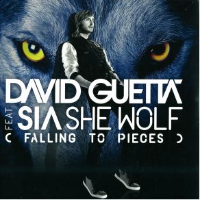 Download track She Wolf (Falling To Pieces) (Sandro Silva Remix) David Guetta, Sia