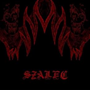 Download track Nail-Pierced Szalec