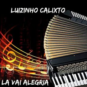 Download track Forró No Meio Do Mundo Luizinho Calixto