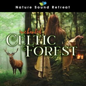 Download track Deep Sleep Celtic Meditation - Nature Sound Retreat