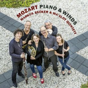 Download track Quintet For Piano And Winds In E-Flat Major, K. 452: I. Largo - Allegro Moderato Markus Becker, Ma`alot Quintett