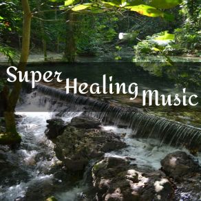 Download track Meditation Serenities Meditacion Ambiental