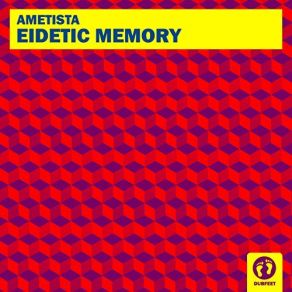 Download track Eidetic Memory Ametista