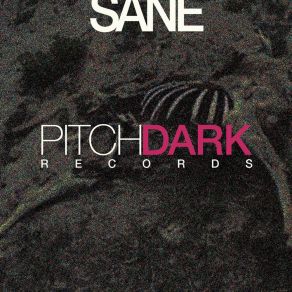 Download track Balloon Animal (Original Mix) Sane