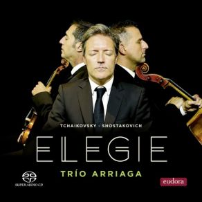 Download track Piano Trio No. 2 In E Minor, Op. 67: III. Largo Trio Arriaga