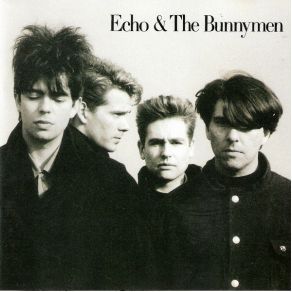 Download track Blue Blue Ocean Echo & The Bunnymen