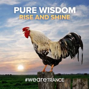 Download track Rise And Shine (Extended Mix) Pure Wisdom