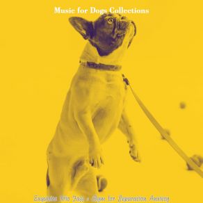 Download track Scintillating Moods For Sleeping Dogs Music For Dogs Collections