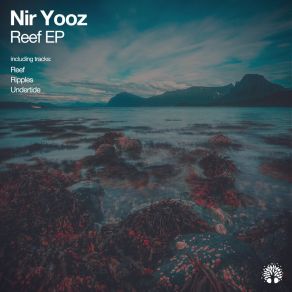 Download track Ripples Nir Yooz