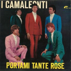 Download track Ti Dai Troppe Arie (Really Mystified) I Camaleonti