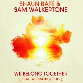 Download track We Belong Together (Radio Edit) Sam Walkertone, Scott Addison, Shaun Bate