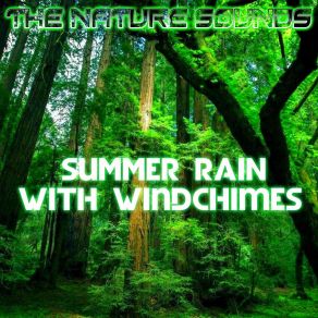 Download track Windchimes & Summer Rain, Pt. 1 Nature Sounds