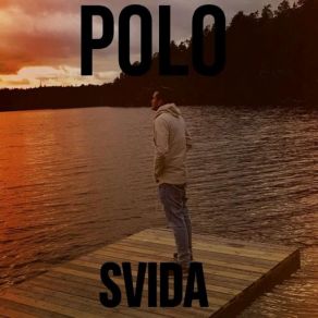 Download track Svida Polo