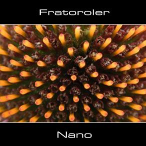 Download track Nano Fratoroler