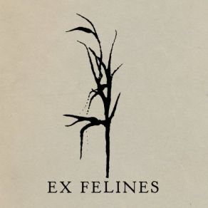 Download track Tangiers Ex Felines