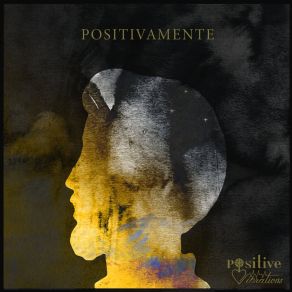 Download track Seguindo Seus Passos Positive Vibrations