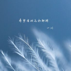 Download track 希望有羽毛和翅膀 (伴奏) 一川