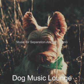 Download track Contemporary Separation Anxiety Dog Music Lounge