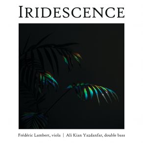 Download track Thème Varié Pour Contrebasse Solo Var. IV. Andantino Misterioso Ali Kian Yazdanfar, Frédéric Lambert