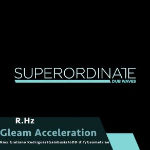 Download track Acceleration (Gambusia Rmx) R. HzGambusia