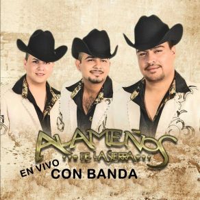 Download track Juan Ramos (En Vivo) Alameños De La Sierra