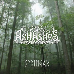 Download track Springar [Instrumental] (Acoustic Version) Ash Of Ashes