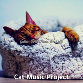 Download track Quiet Cute Cats Cat Music Project