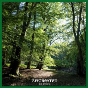 Download track Around The Ropeswing Afforested