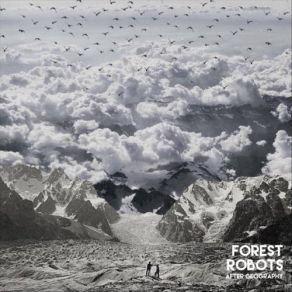 Download track Of Birds Migrating In The Distance Forest Robots