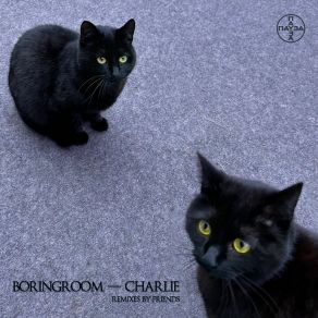 Download track Charlie (HeadSick Remix) BoringroomHeadsick