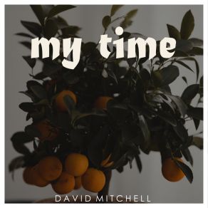 Download track Something About Experience David Mitchell