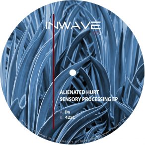 Download track 425C (Original Mix) Alienated Hurt