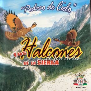 Download track Lo Que Nunca Perdi Los Halcones De La Sierra