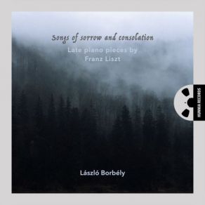 Download track Trübe Wolken S. 199: Nuages Gris Borbély László