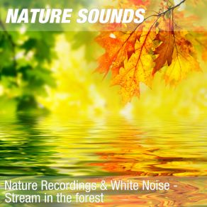 Download track Nature Sounds For Relaxation, Love & Happiness (Forest Stream) 08 Nature Sounds